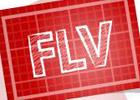 关于网上播放.flv 的问题