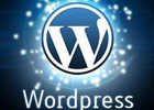 wordpress禁用不常用的功能来优化站点