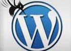wordpress返回分类名称