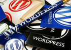 wordpress启用主题或插件后跳转到相应说明文档