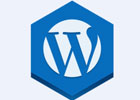 wordpress获取分类文章数的方法