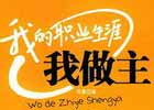 论个人站长的职业生涯