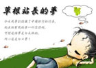 关于自己的个人站长之路