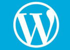 WordPress数据库wp_options表清理教程 解决wp_options过大