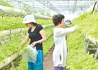 2022年在农村干什么能赚到钱?