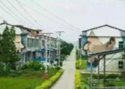 当今在农村做什么生意能赚钱?