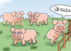 未来3到5年，我国养猪的行情是什么？