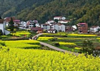 农村人要不要把农村的房子换成城市的房子