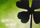 我们为什么要努力，努力的结果是什么