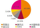 云计算公司排名国内（中国十大云计算公司排名）