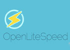 如何在CentOS 7上安装OpenLiteSpeed Web服务器-开源轻量高性能的建站面板